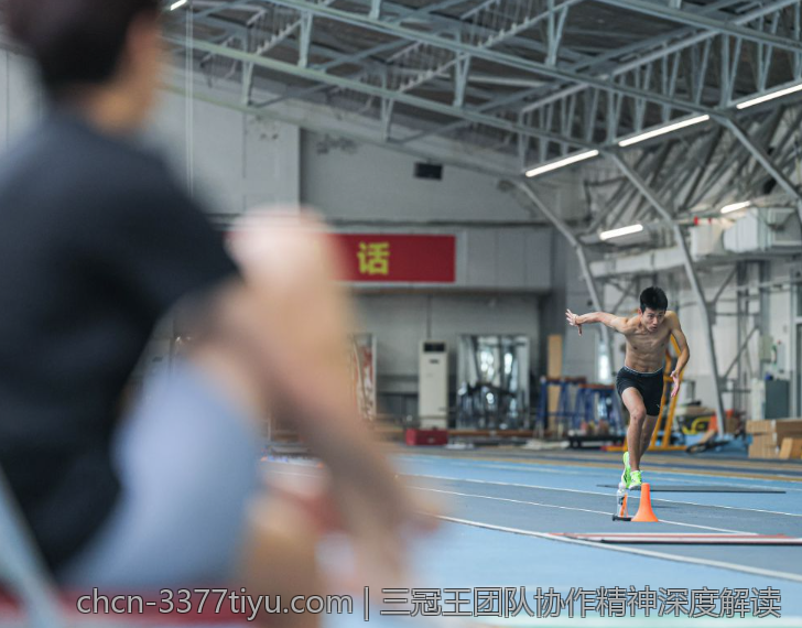 三冠王团队协作精神深度解读